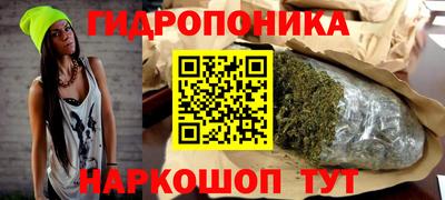 Альфа ПВП Канаш