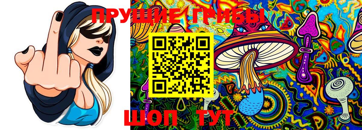 Псилоцибиновые грибы Psilocybe  Псилоцибиновые грибы ЛСД  Вход с VPN  дарнет шоп  Кызыл 